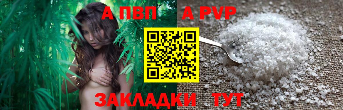 как найти   Вход с VPN  Alpha PVP крисы CK  A-PVP СК  A PVP  Ульяновск  APVP Соль 