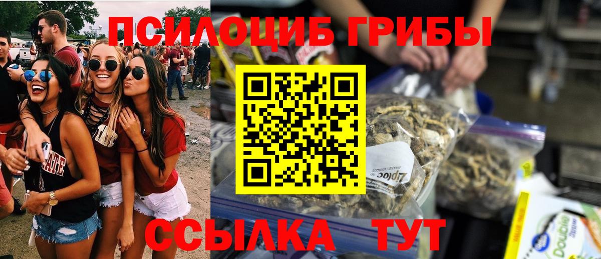 Псилоцибиновые грибы GOLDEN TEACHER Ульяновск